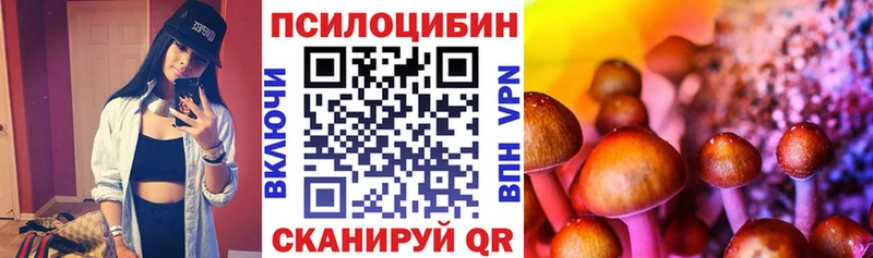 кракен tor  Копейск  Псилоцибиновые грибы прущие грибы 