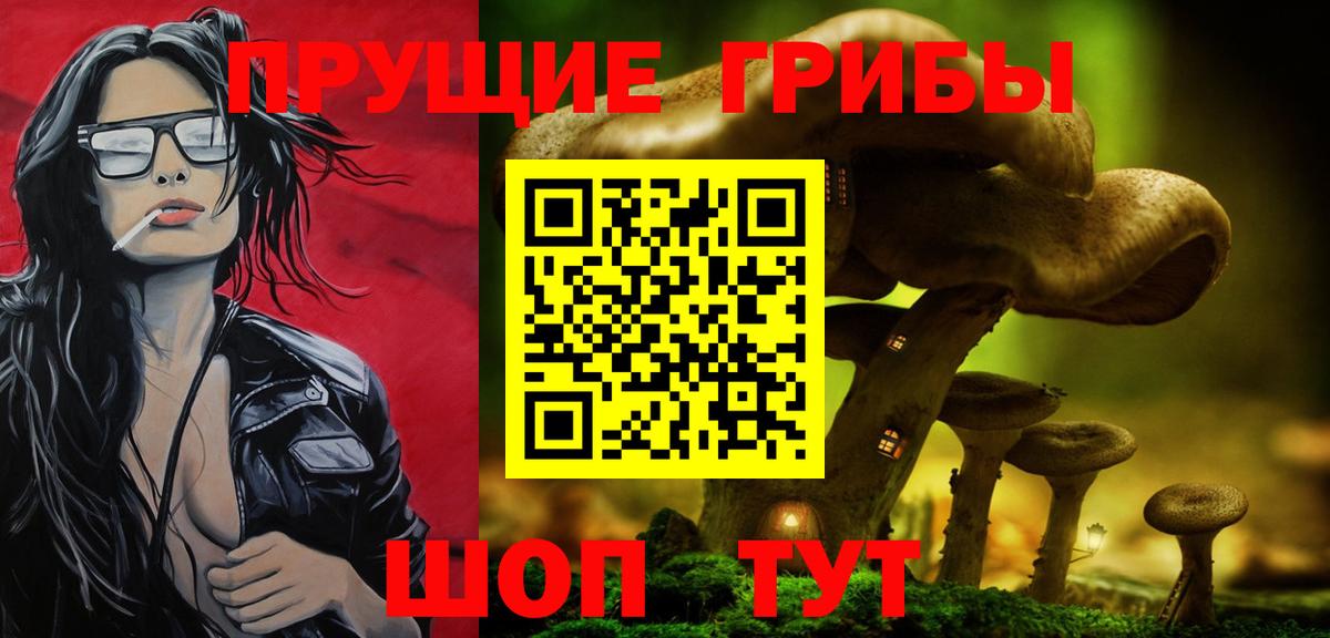 Галлюциногенные грибы Psilocybe  Галлюциногенные грибы Psilocybine cubensis  Копейск  Вход с VPN 