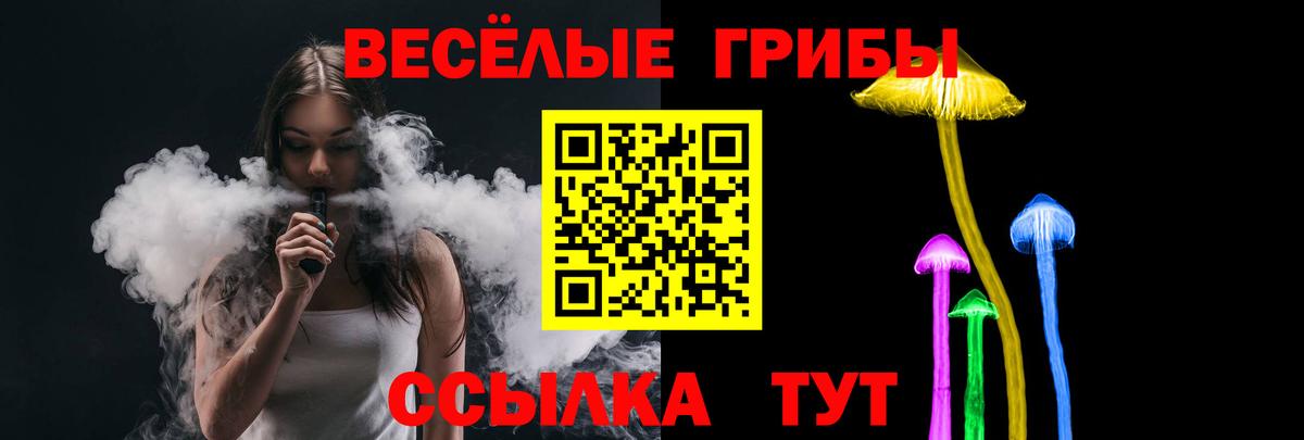 Галлюциногенные грибы GOLDEN TEACHER Копейск
