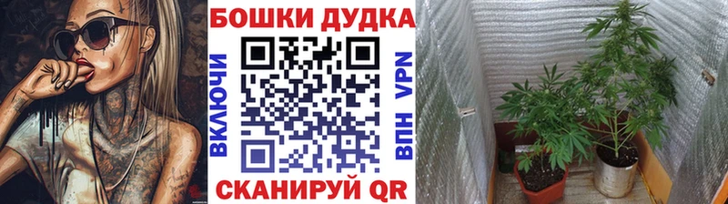 Марихуана конопля  Копейск 